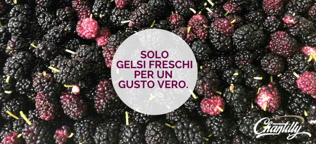 GELSI FRESCHI